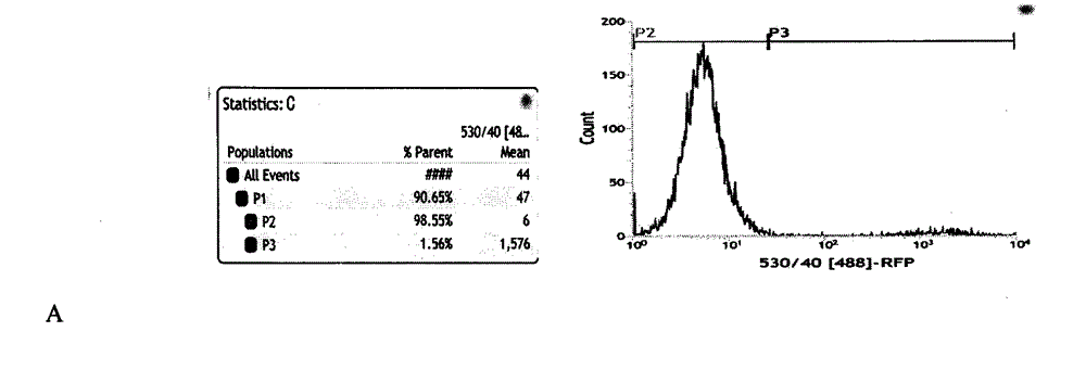 Helper plasmid for high efficiency building of transgenic mouse model and construction method thereof