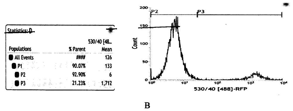 Helper plasmid for high efficiency building of transgenic mouse model and construction method thereof