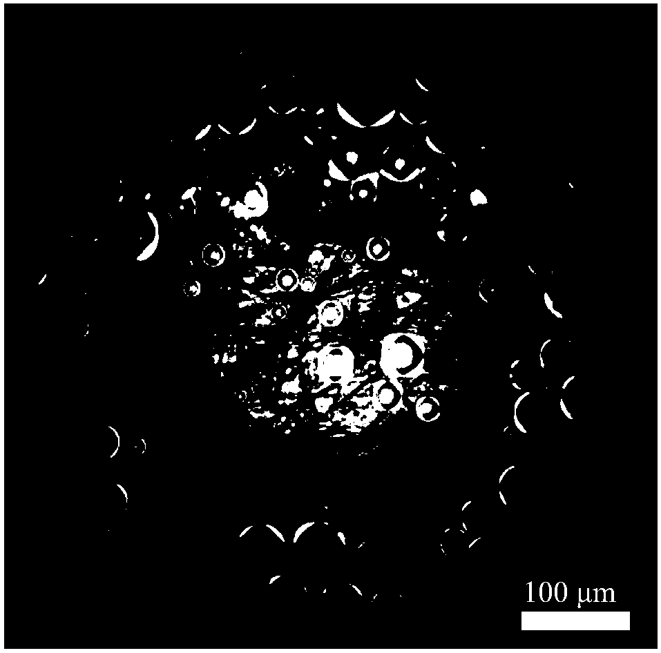 A preparation method for in-situ growth of three-dimensional graphene on the surface of spherical copper powder