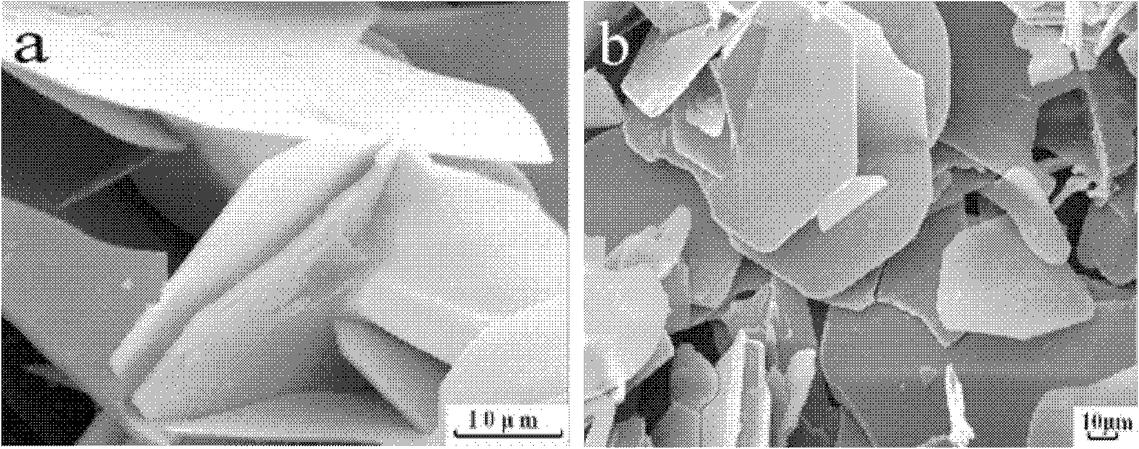 Preparation method of flake ferric oxide