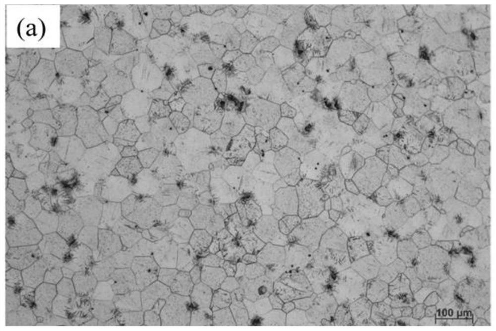 Grain refinement method for large-size semi-continuous casting magnesium alloy ingot