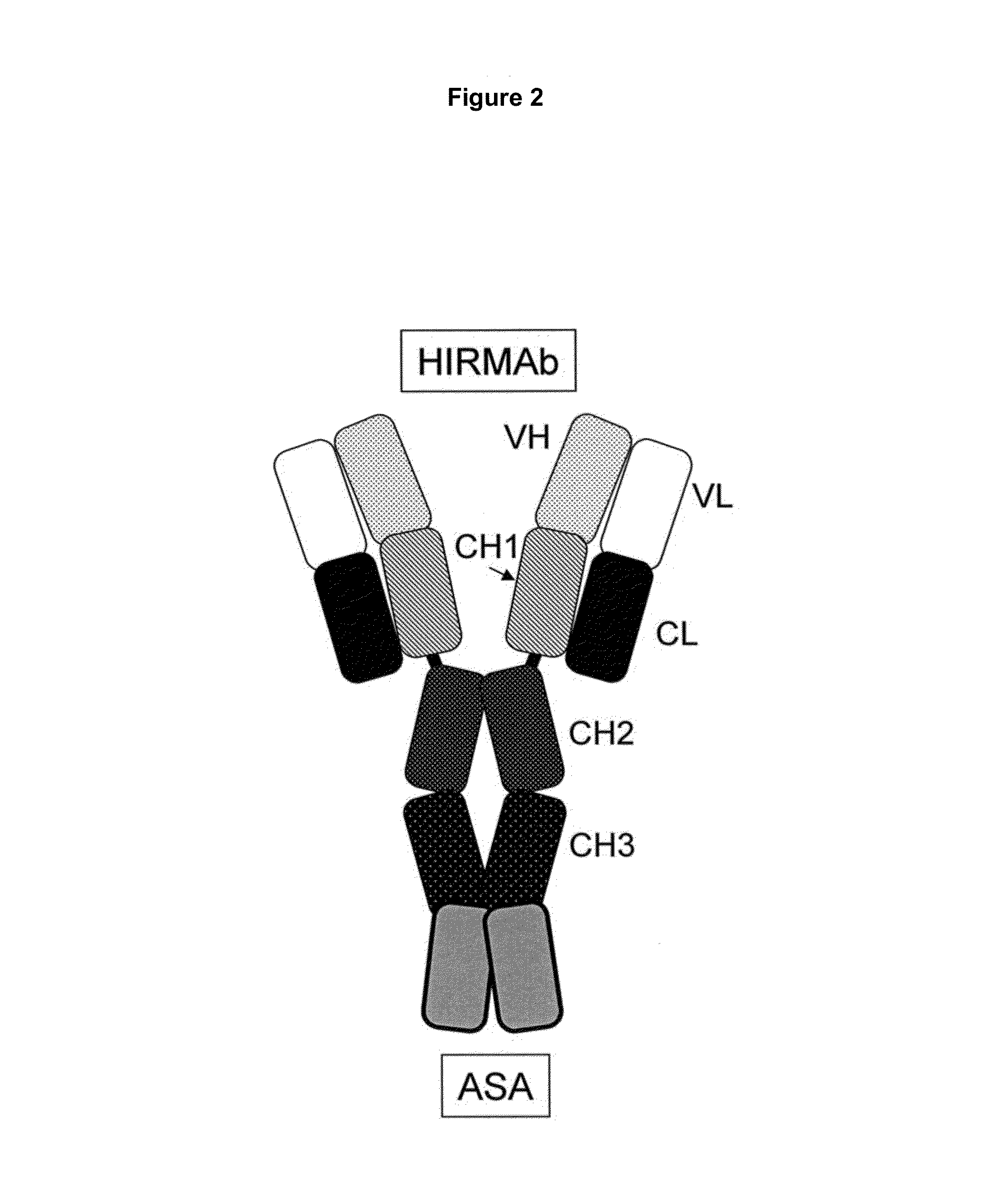 Methods and compositions for increasing arylsulfatase A activity in the CNS