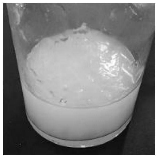 Ramie bone nanocrystalline cellulose aerogel and preparation method thereof