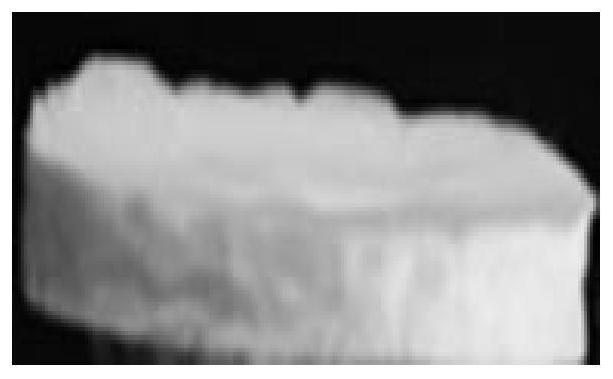 Ramie bone nanocrystalline cellulose aerogel and preparation method thereof