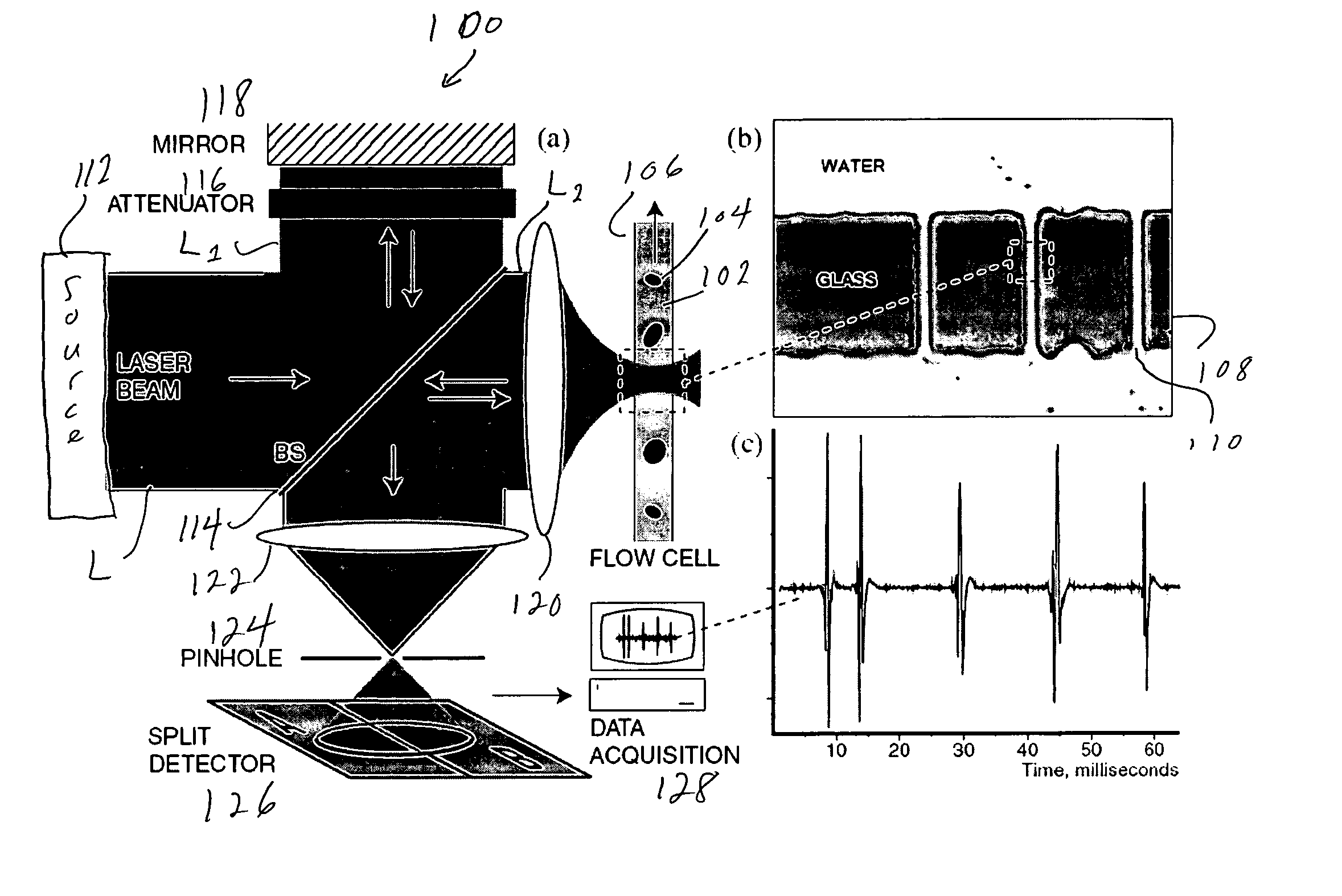 Apparatus and method for sizing nanoparticles based on optical forces and interferometric field detection