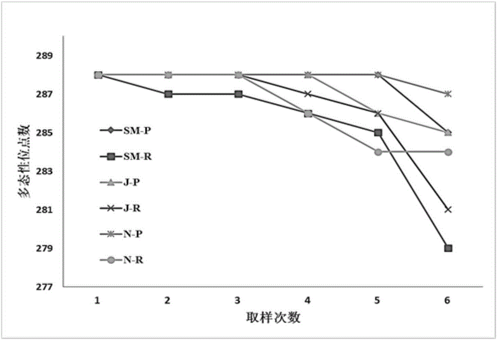 Method for constructing sweet potato core germplasm resource library based on SSR (simple sequence repeat) molecule markers