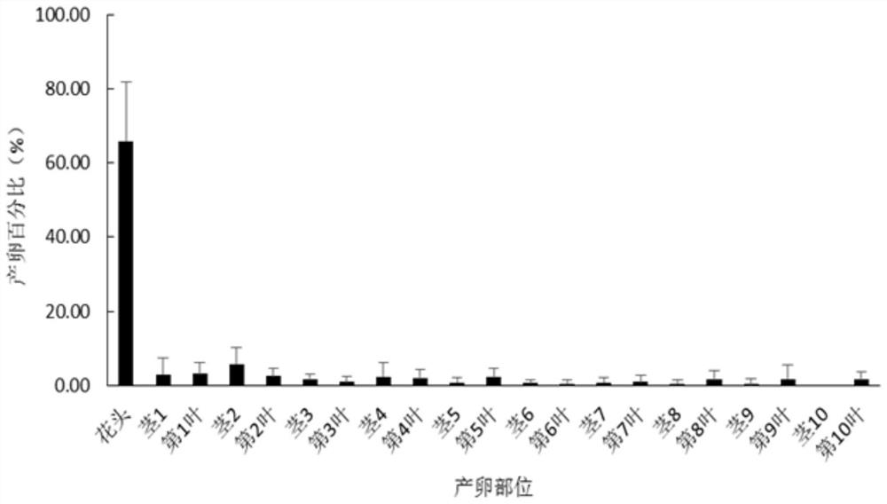 A method for continuously and quickly obtaining a large number of test insects of Peach Borer