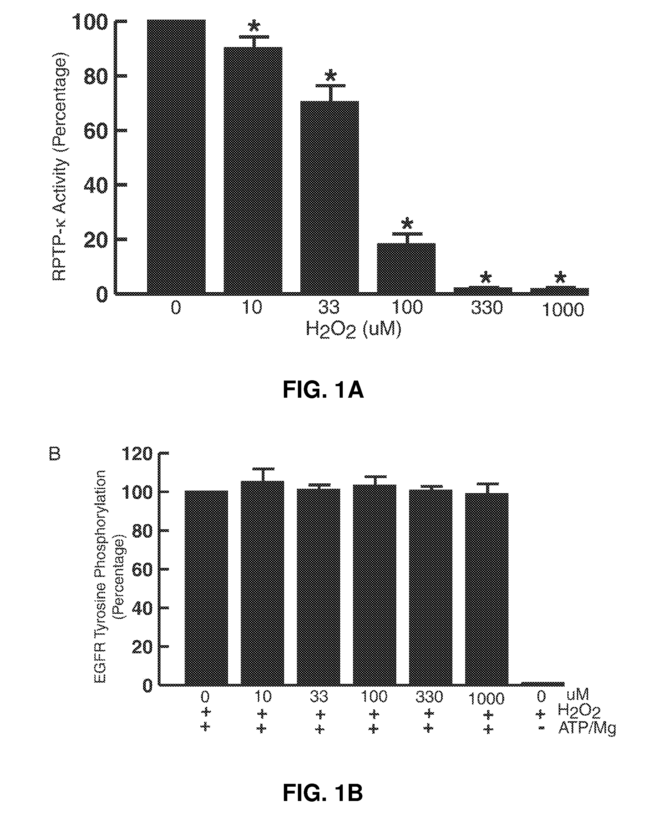 Methods for identifying treatments that treat and/or prevent UV irradiation induced photoaging