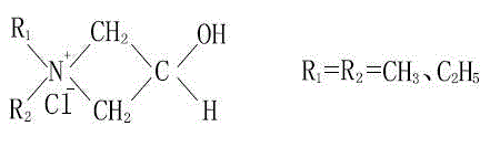 Cationization modifying technology of cellulose fiber