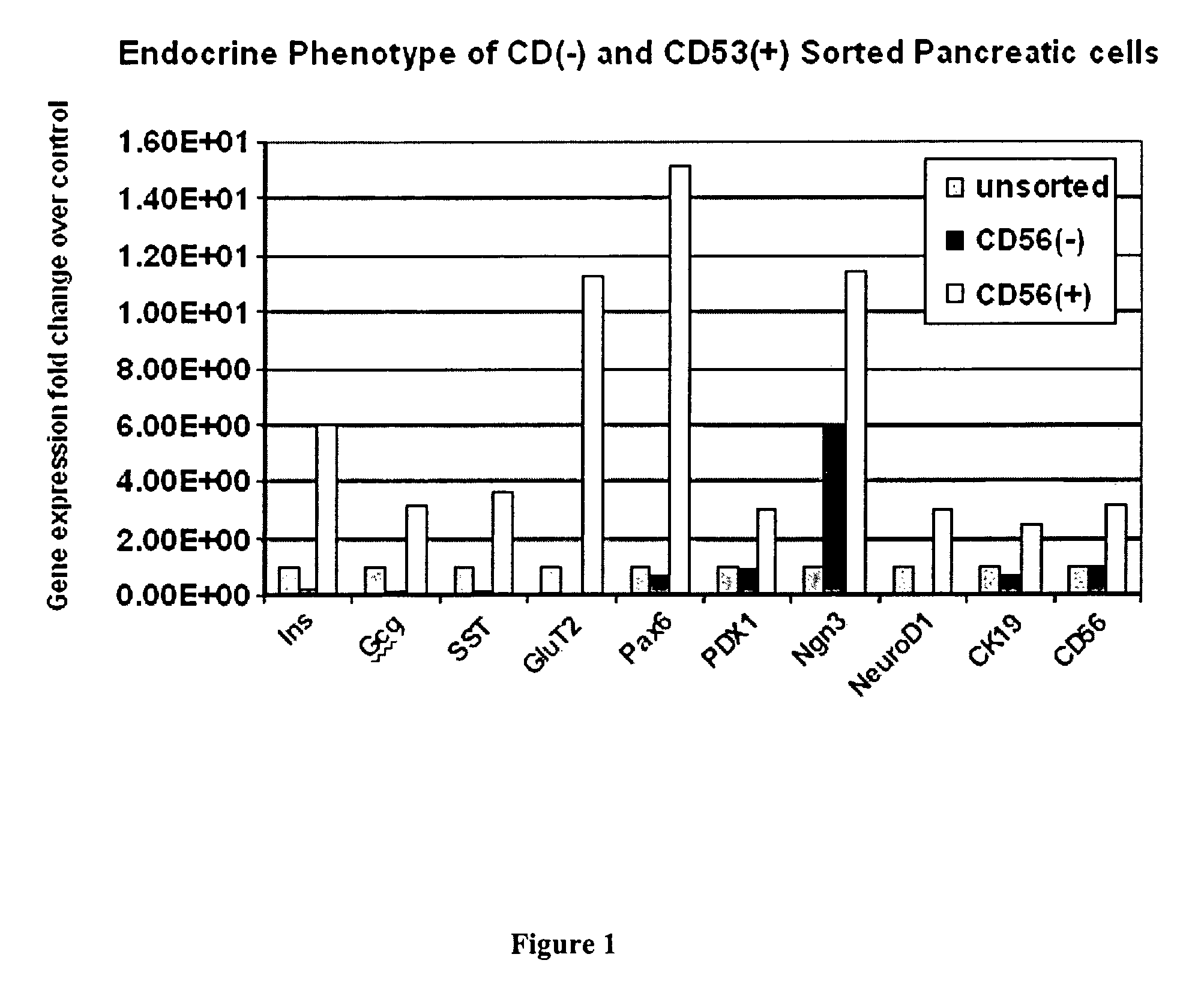 CD56 positive human adult pancreatic endocrine progenitor cells