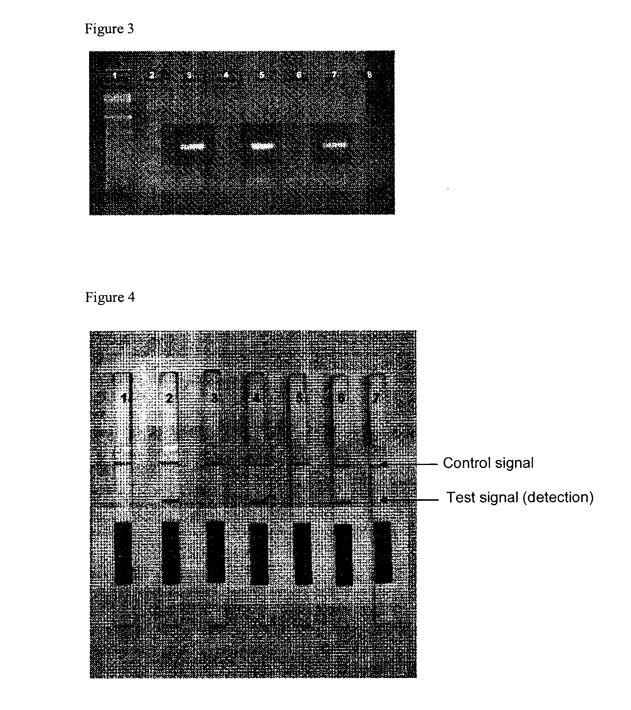 Method and rapid test for detection of specific nucleic acid sequences
