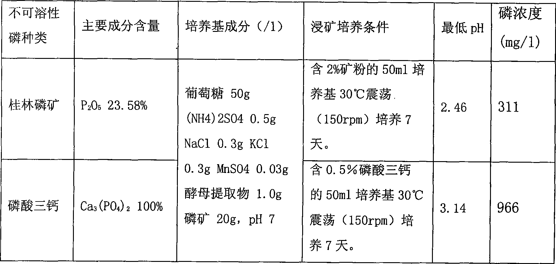 Penicillium, as well as preparation method and application