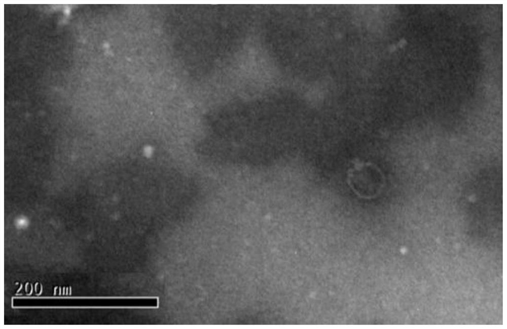 Environment-tolerant aeromonas hydrophila bacteriophage ZPAH34 and application