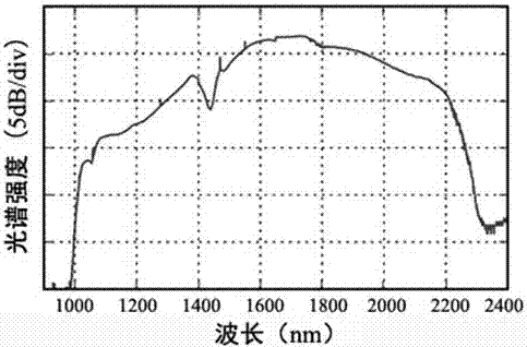 An all-optical true random number generator