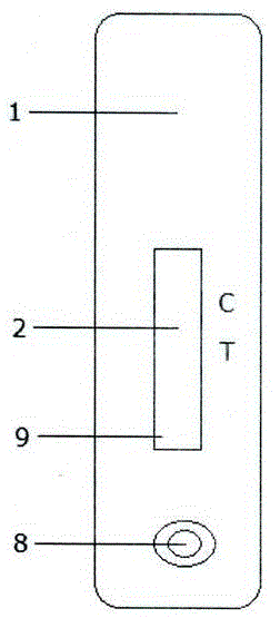 A test paper card for rapid detection of trenbolone residues and preparation method thereof