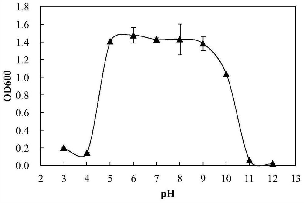 A Strain of Pseudomonas Paraxanthomonas and Its Application