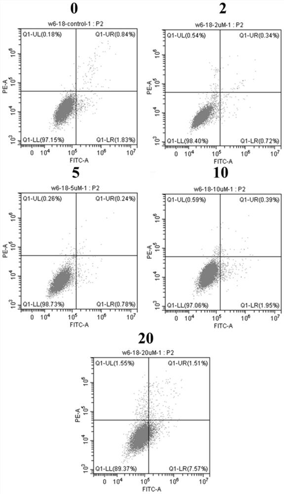 Benzodifuranone compound with antitumor activity, preparation method and use thereof