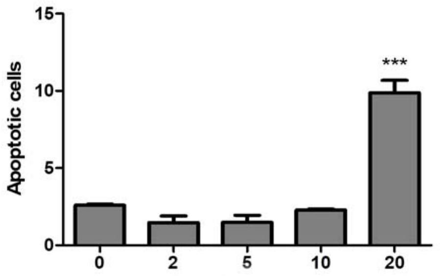 Benzodifuranone compound with antitumor activity, preparation method and use thereof