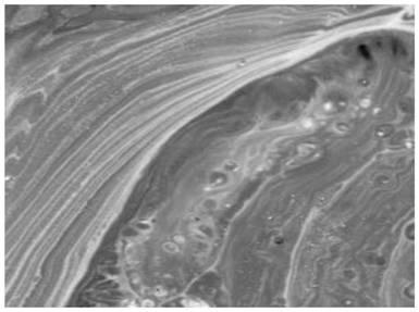 A kind of speckled glass-ceramic directly using molten blast furnace slag and its preparation method