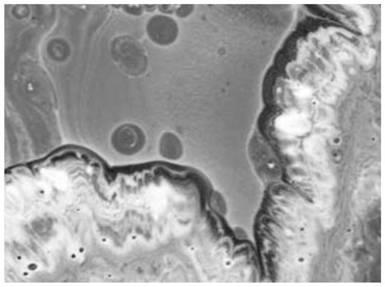 A kind of speckled glass-ceramic directly using molten blast furnace slag and its preparation method