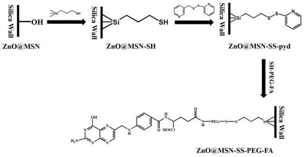 Degradable silicon-based carrier material based on ZnO composite mesoporous silica as well as preparation method and application of degradable silicon-based carrier material