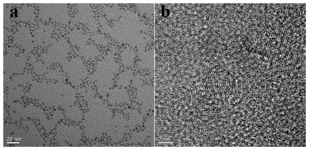 Degradable silicon-based carrier material based on ZnO composite mesoporous silica as well as preparation method and application of degradable silicon-based carrier material