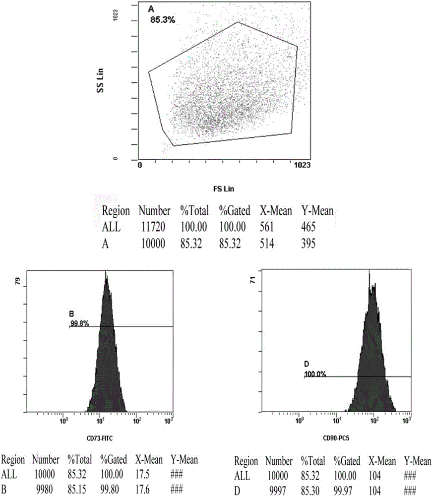 Stem cell active factor and lyophilized powder thereof