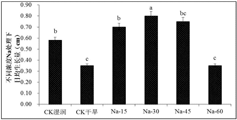 Method for improving drought resistance of dalbergia odorifera