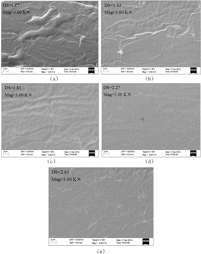Method for inhibiting migration of plasticizer in esterified starch film and esterified starch film