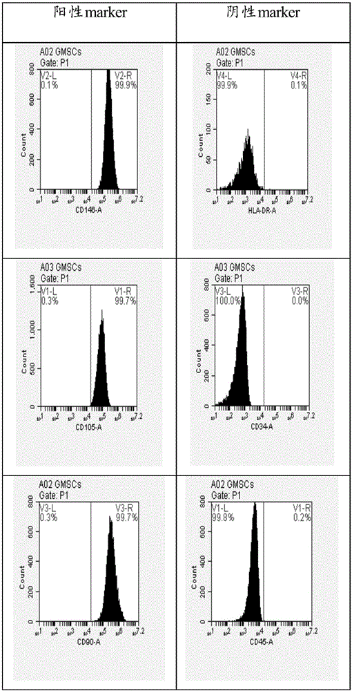 Cell cryoprotectant and cryopreservation method