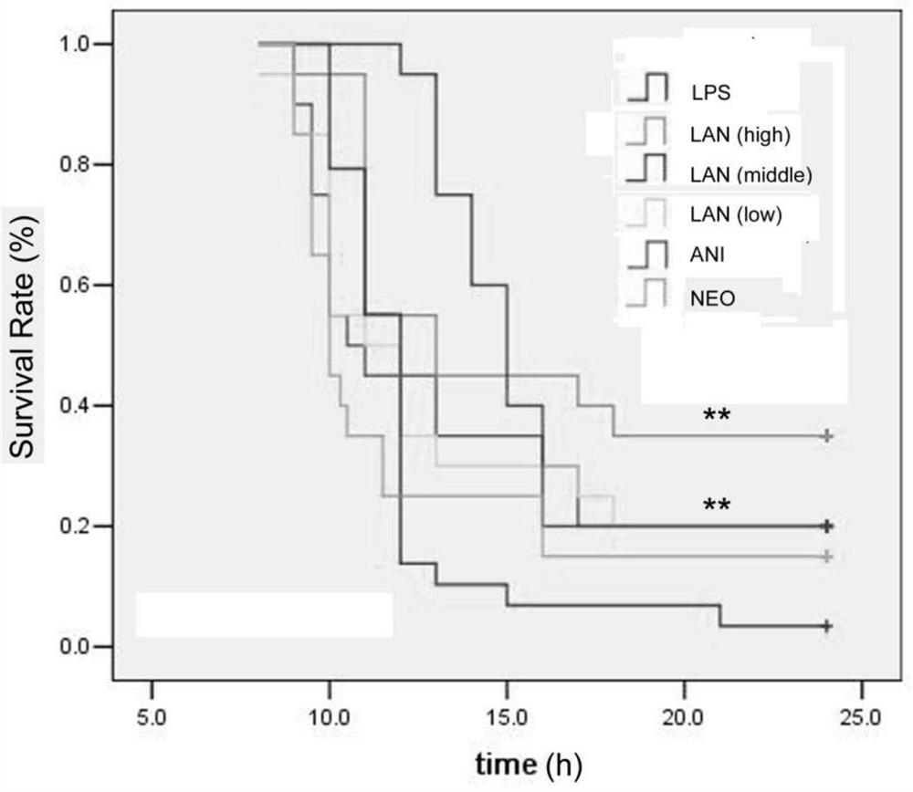 Application of compound anisodamine injection in aspect of treating scalds