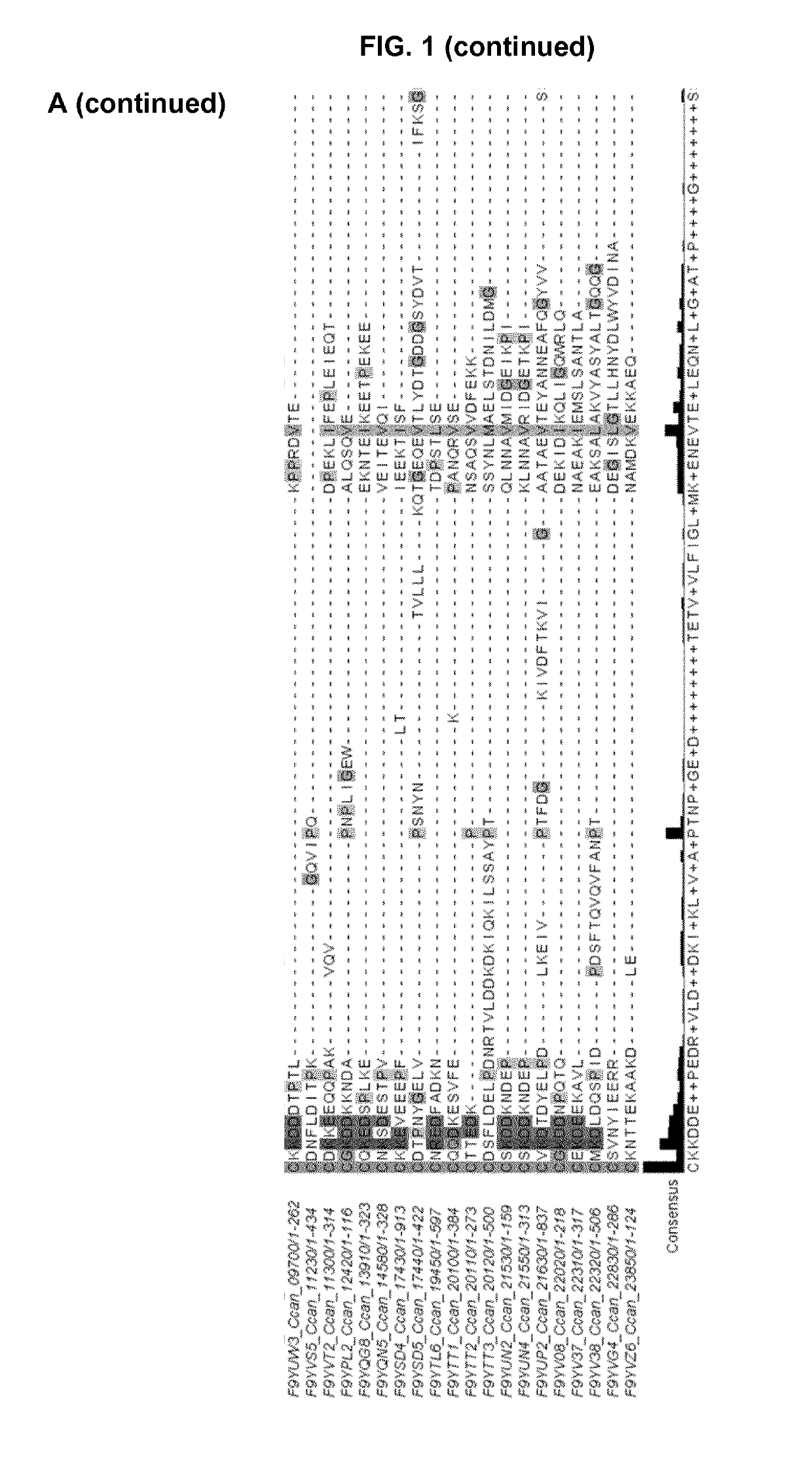 Lipoprotein export signals and uses thereof