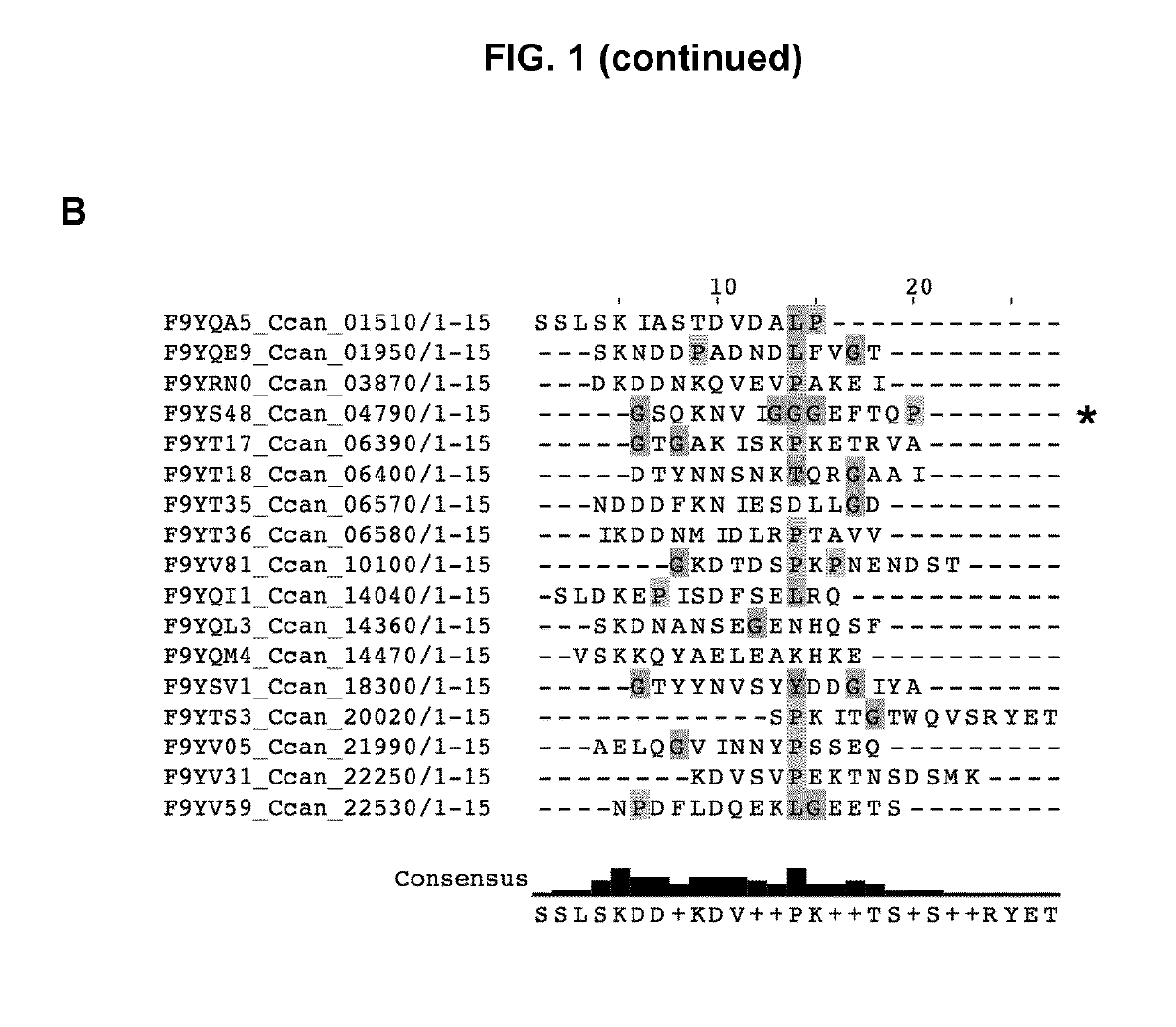 Lipoprotein export signals and uses thereof