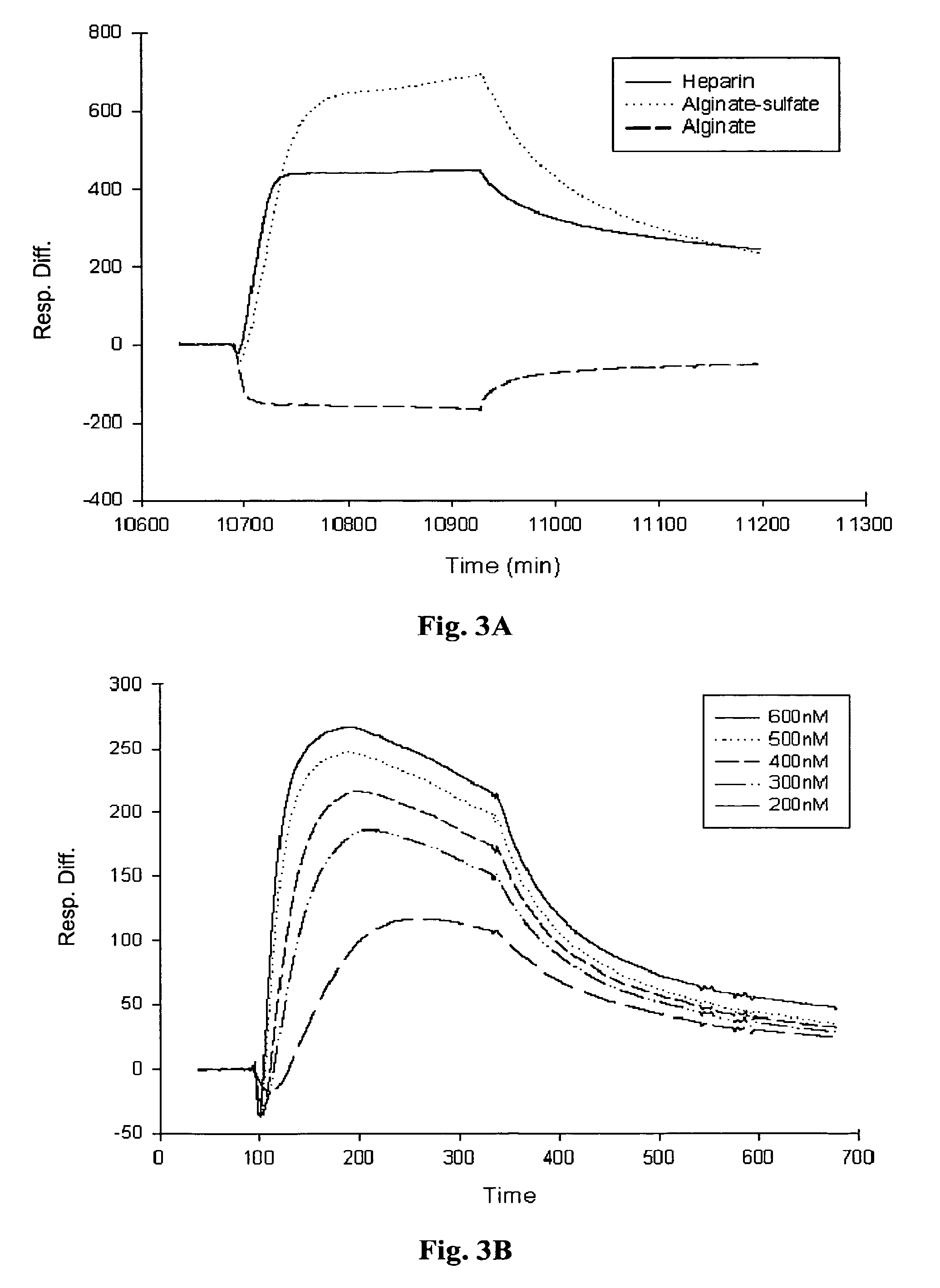 Bioconjugates comprising sulfated polysaccharides and their uses