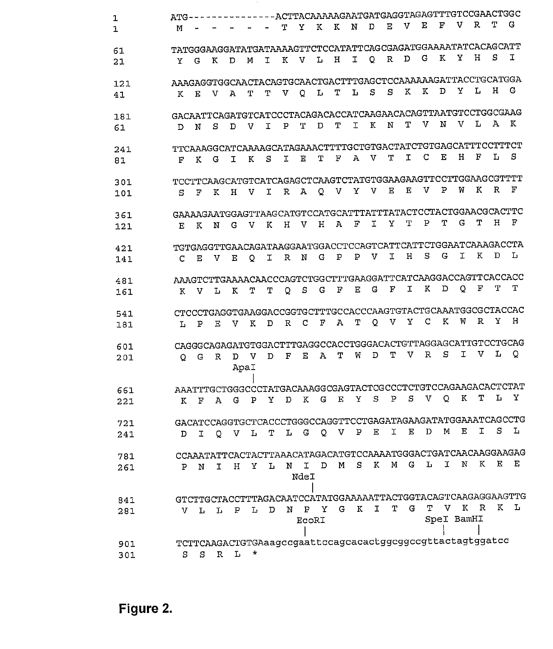 Variant form of urate oxidase and use thereof