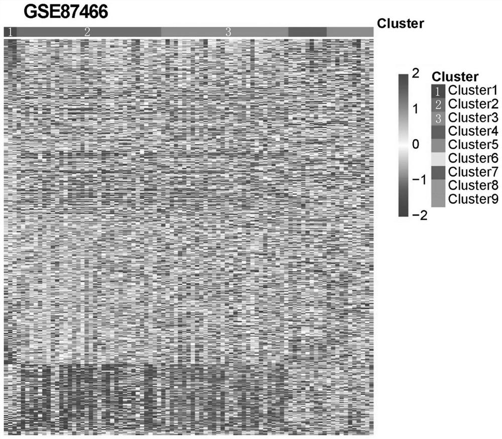 Classification method and system of immune-related disease molecular typing and subtype classifier