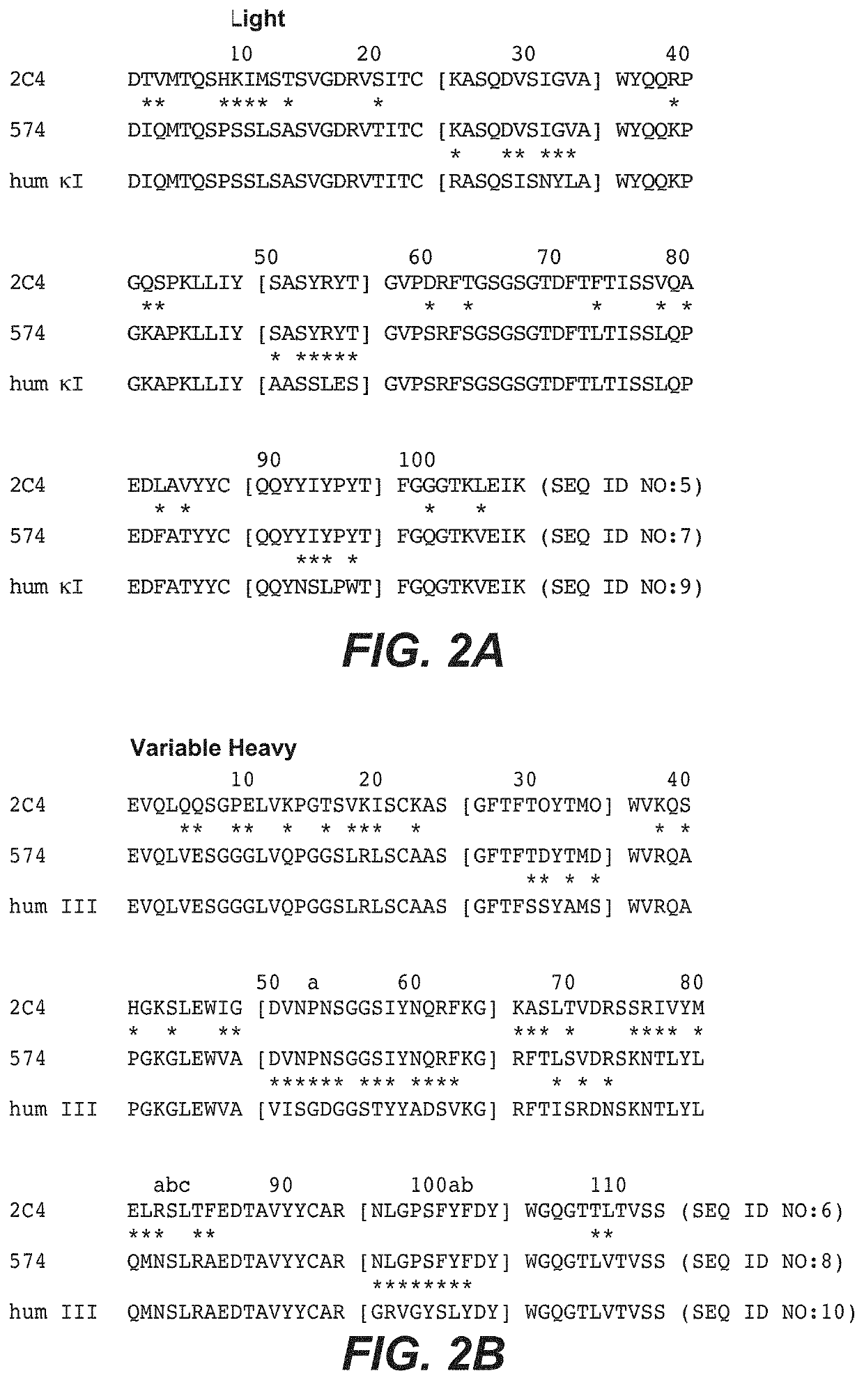 Adjuvant treatment of her2-positive breast cancer