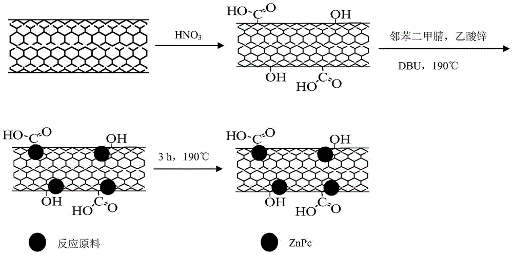 In-situ preparation method of zinc phthalocyanine/carbon nanotube composite catalyst based on solvothermal method