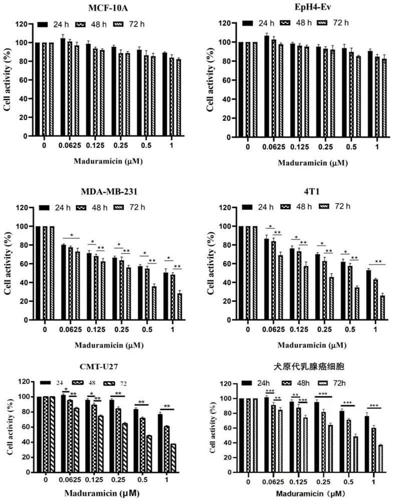 Application of maduramicin ammonium in preparation of anti-breast cancer drugs