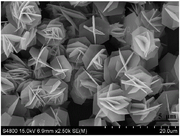 3D-nanostructure NiCo2S4 electrode material for super capacitor and preparation method thereof