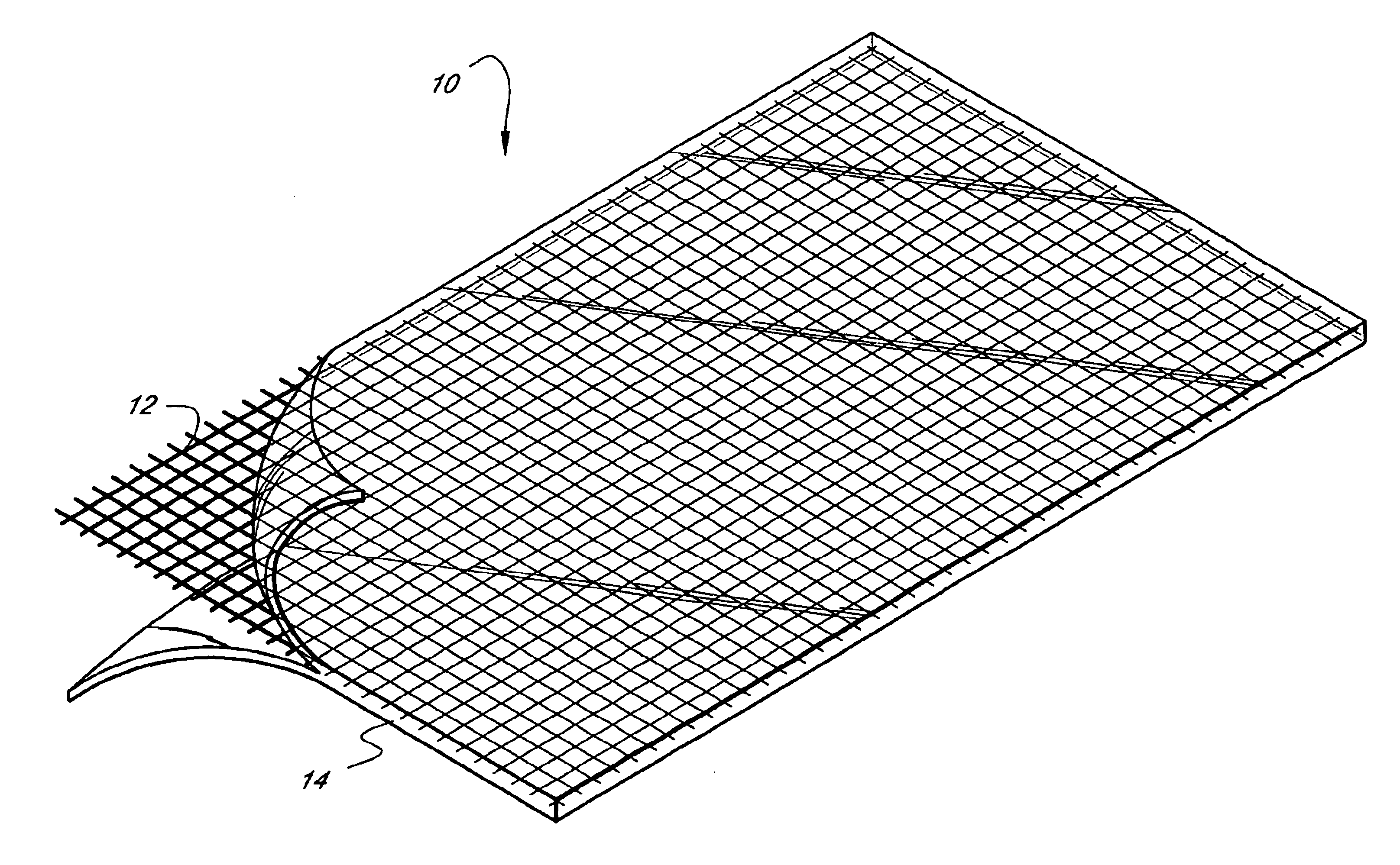 Self-supporting, shaped, three-dimensional biopolymeric materials and methods