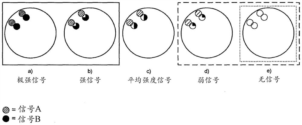 Compositions and methods for hybridization