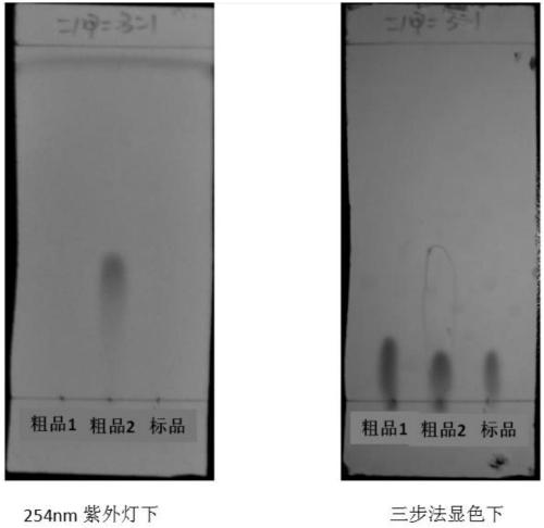 Method for preparing swainsonine by solid fermentation