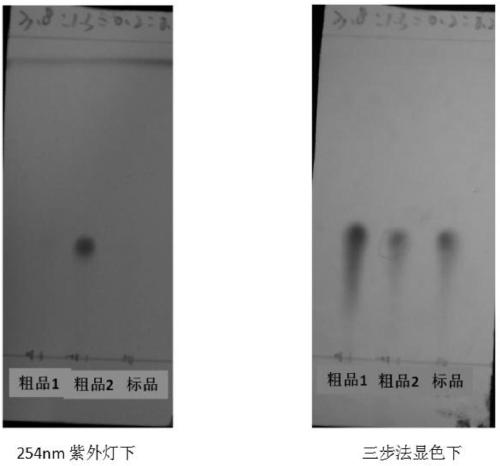 Method for preparing swainsonine by solid fermentation