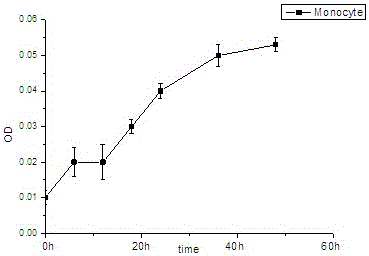 Method for fish mononuclear/phagocyte separation, cultivation and functional verification