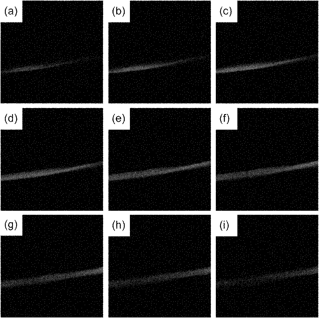 Two-photon fluorescent bio-silk material and preparation method thereof