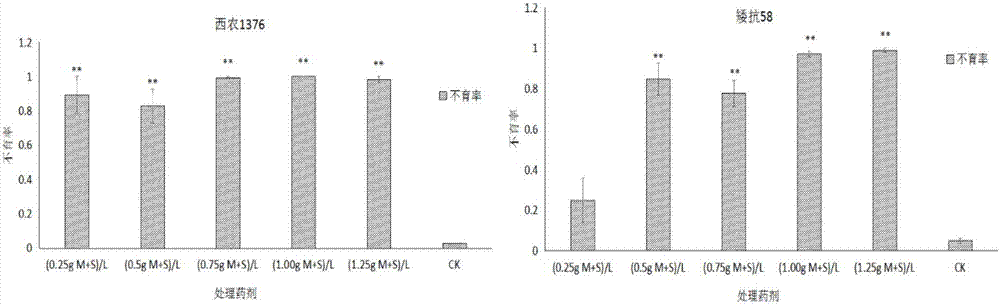 Chemical emasculation agent for wheat and male sterility line induction method