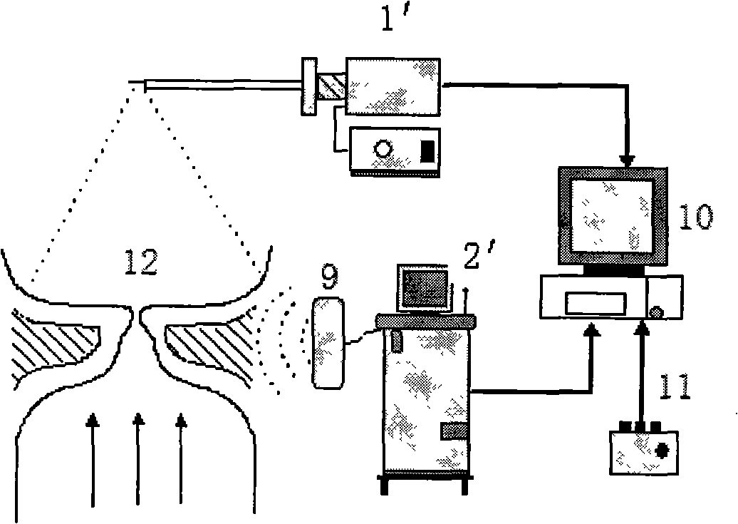 System and method for detecting characteristic of vocal cord vibration mechanics