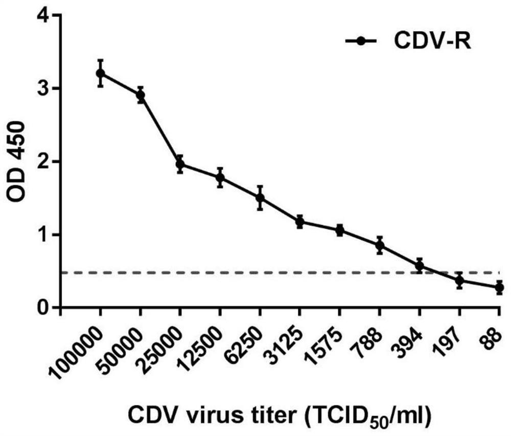Antibody pair for detecting canine distemper virus and application thereof