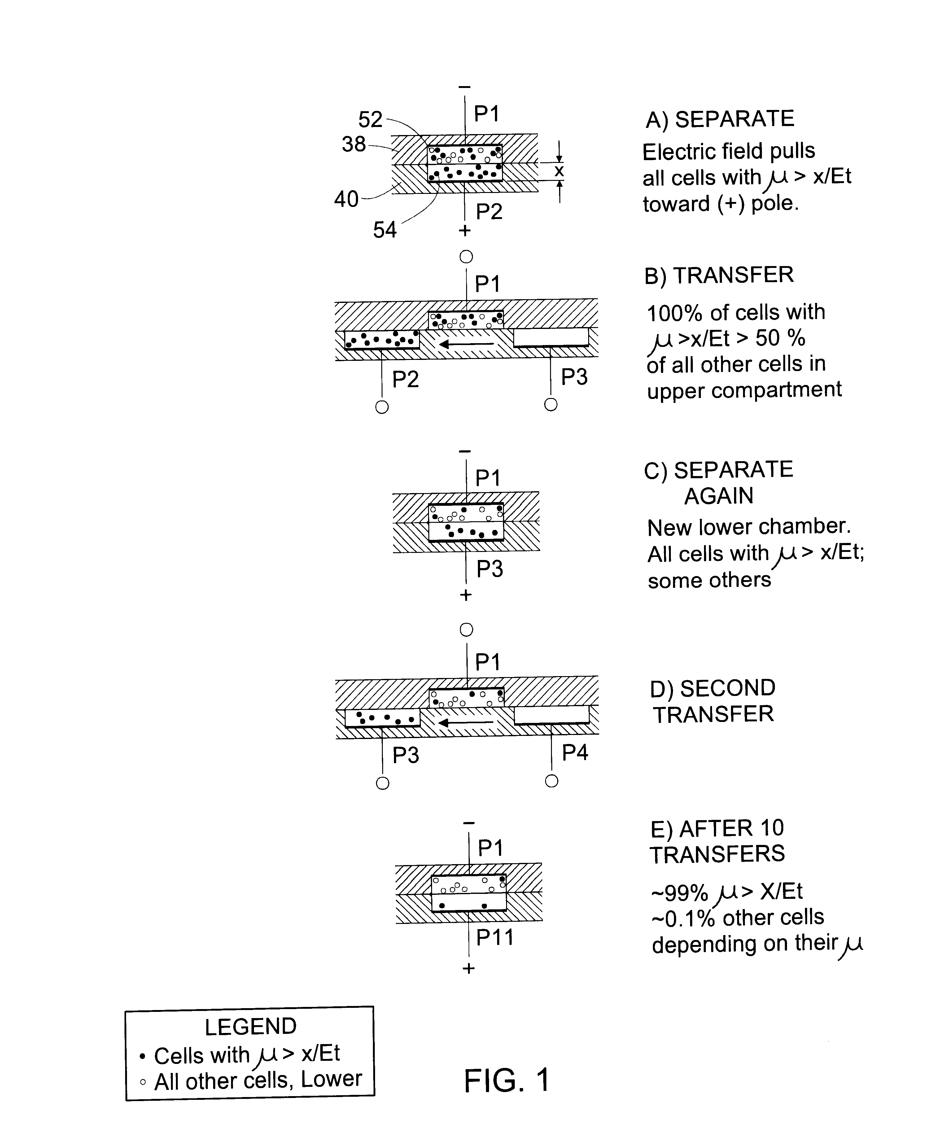 Multistage electrophoresis apparatus and method of use for the separation and purification of cells, particles and solutes